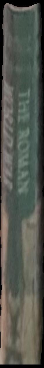Wealth of the Roman world AD 300-700 live spine