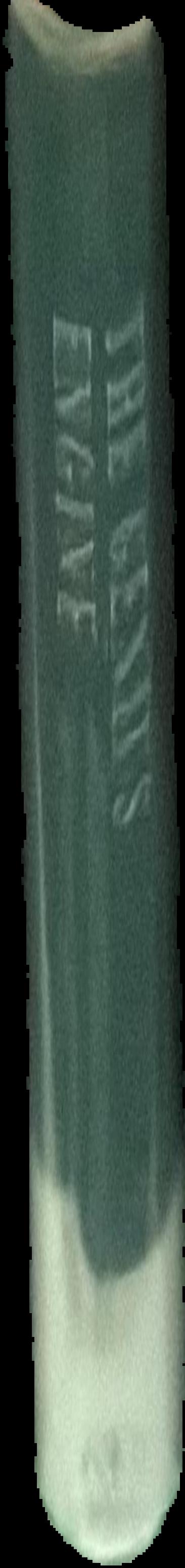 The time engine : the fourth book of the moonworlds saga / Sean McMullen live spine