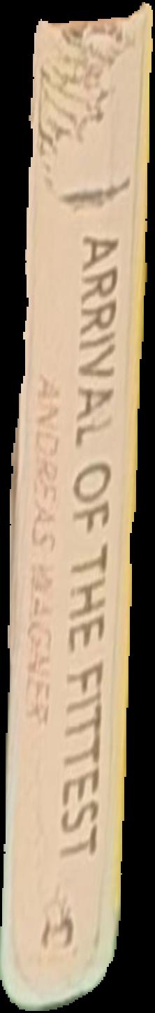 The Mercy Ministry in Burnie : a brief account of the life and work of the Sisters of Mercy in Burnie over the 100 years since their arrival in 1900 / by Henry Catchpole live spine