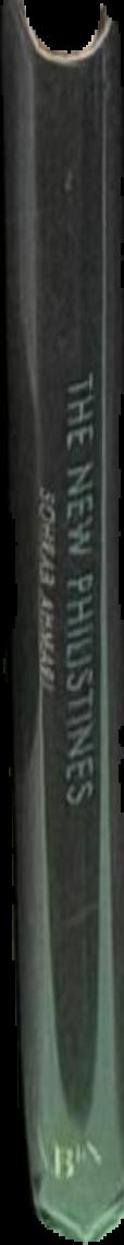 Biblical peoples and ethnicity : an archaeological study of Egyptians, Canaanites, Philistines and early Israel, 1300-1100 BCE live spine