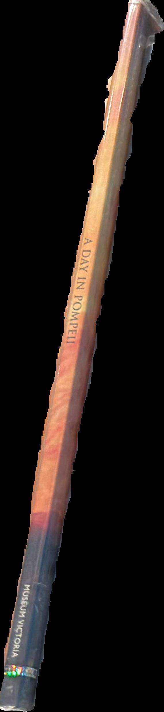 A day in Pompeii live spine