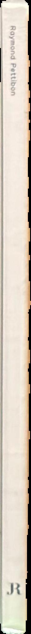 Raymond Pettibon live spine