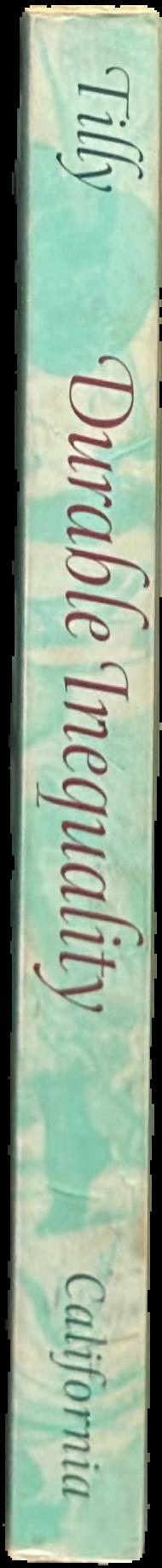 Durable inequality live spine