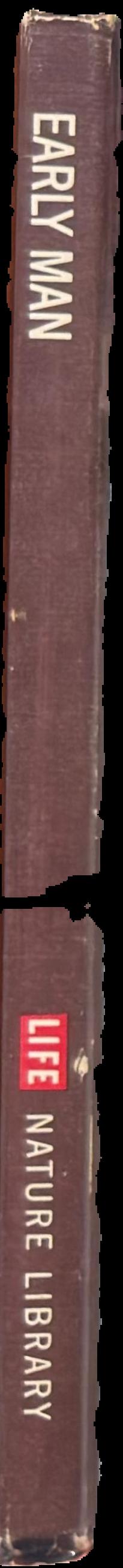 Early man live spine