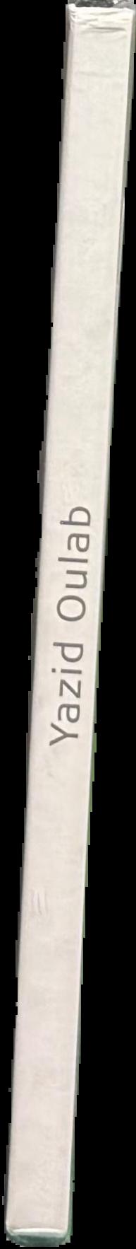Yazid Oulab live spine