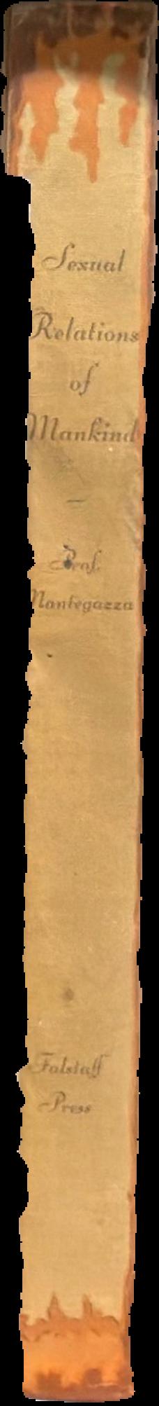 Anthropological studies of sexual relations of mankind live spine