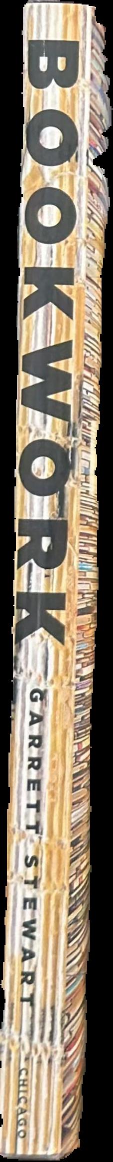 Bookwork : medium to object to concept to art live spine