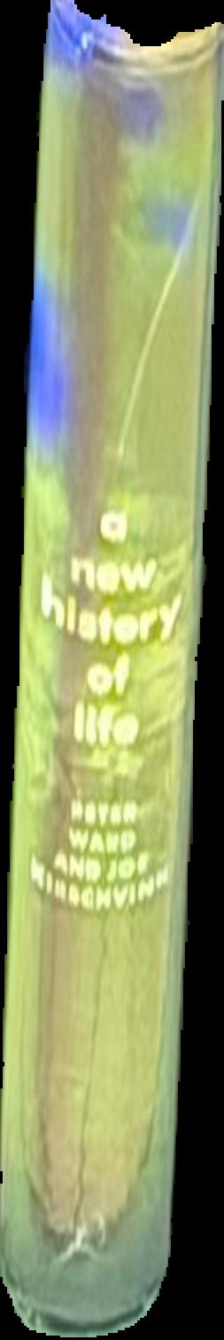 A new history of life : the radical new discoveries about the origins and evolution of life on Earth live spine