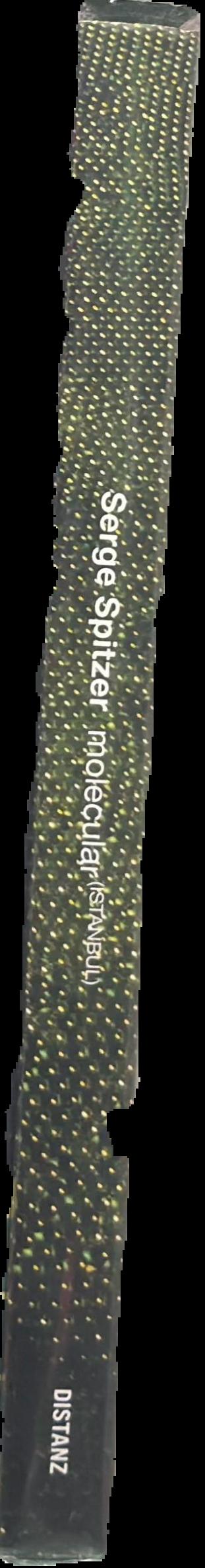 Serge Spitzer : molecular (Istanbul) live spine
