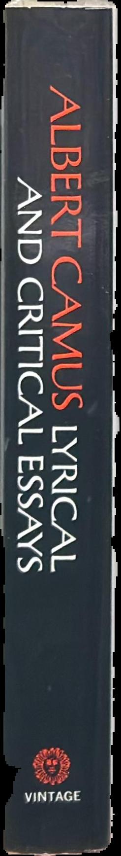 Art and culture : critical essays live spine