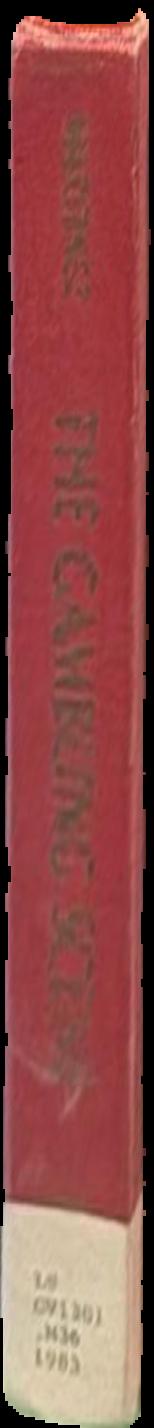 Cy Twombly : paintings : 19 April through 27 May 1983 live spine