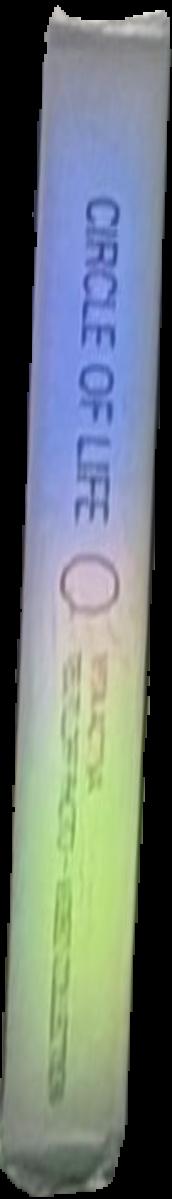 Circle of life : vita activa, the human image in contemporary photography : a selection by Dr Andreas Beitin, ZKM, from the Teutloff Photo   Video Collection live spine