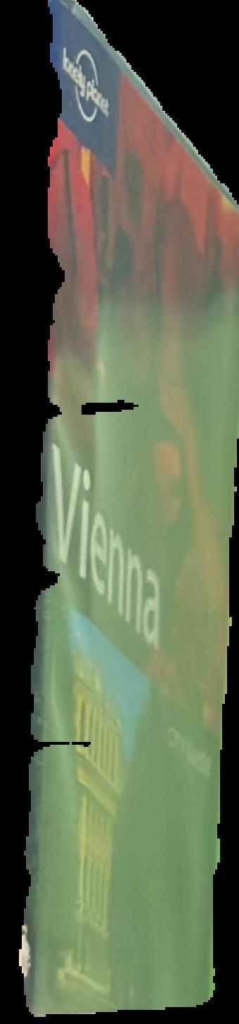 Vienna live spine