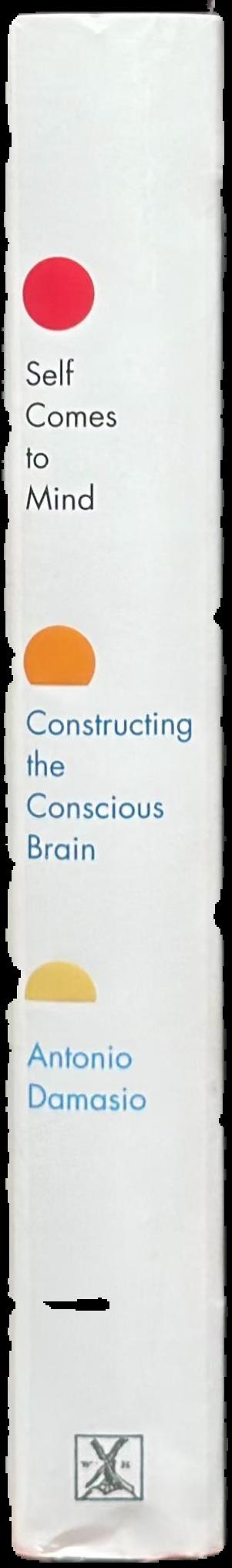 Self comes to mind : constructing the conscious brain live spine