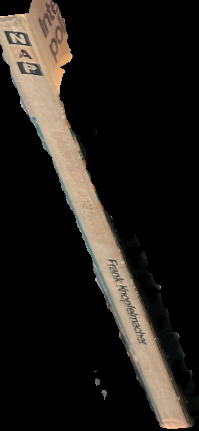 Intellectuals and politics : and other essays live spine