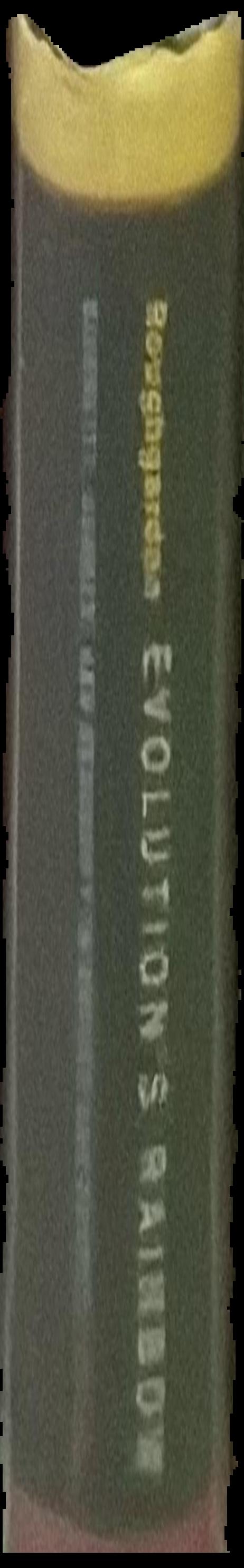 Langenscheidt's German-English English-German Dictionary Two volumes in one live spine