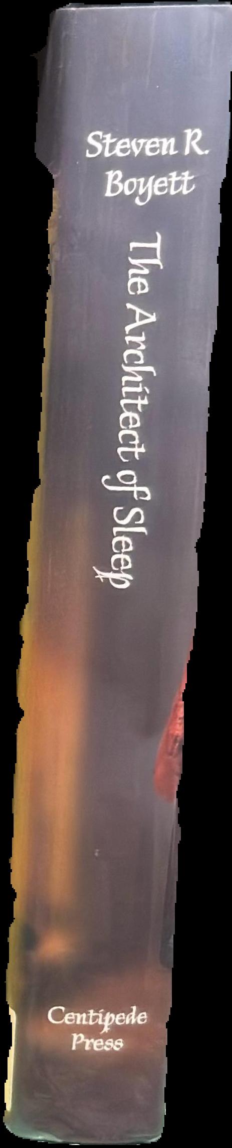 The architect of sleep / Steven R. Boyett ; illustrated by Cristina Bencina live spine