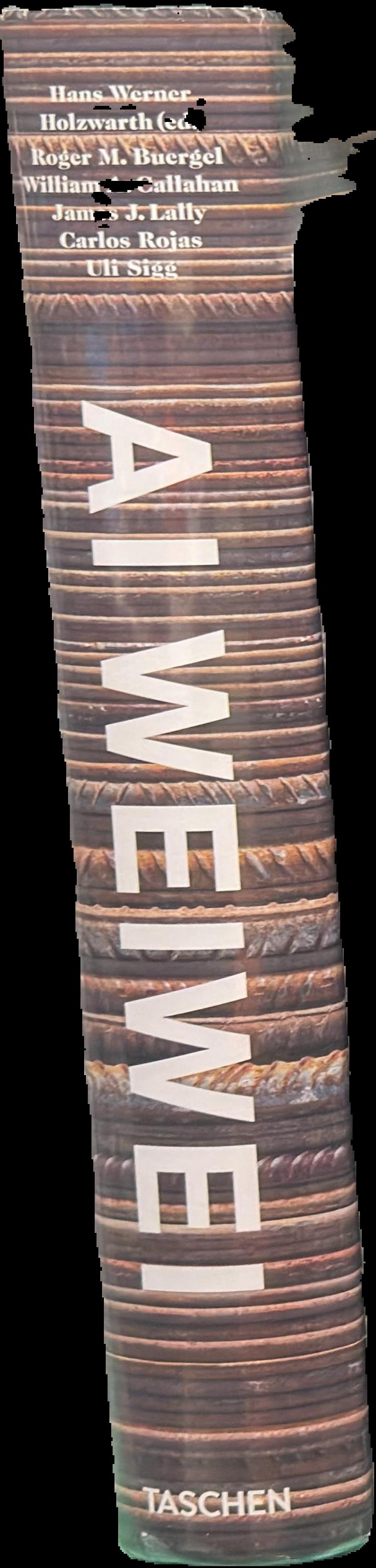 Ai Weiwei live spine