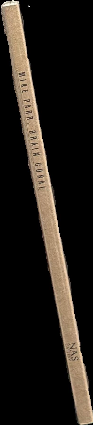 Mike Parr : brain coral live spine