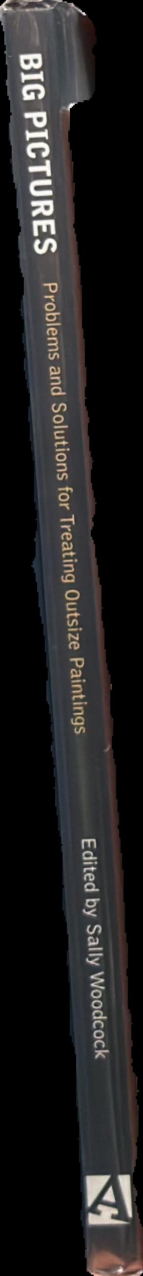Big pictures : problems and solutions for treating outsize paintings live spine