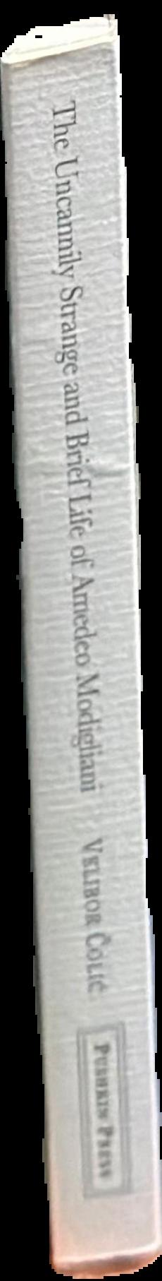 The uncannily strange and brief life of Amedeo Modigliani : a mosaic novel live spine