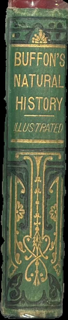 Buffon's natural history live spine