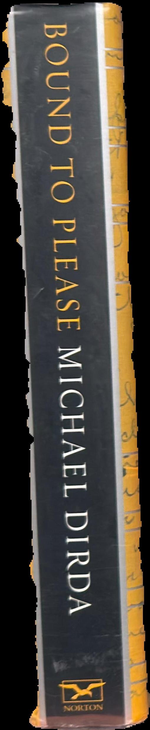 Bound to please : an extraordinary one-volume literary education : essays on great writers and their books live spine
