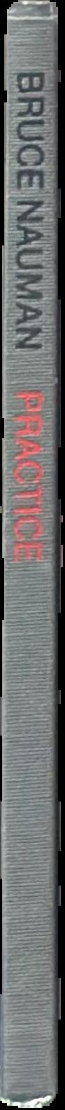 Bruce Nauman live spine