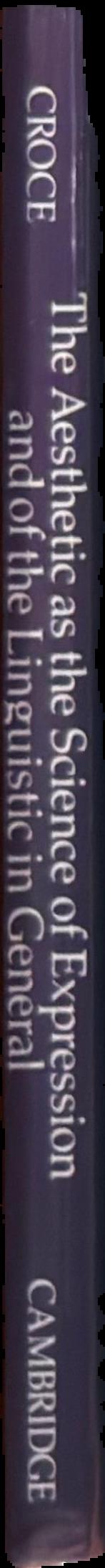 The aesthetic as the science of expression and of the linguistic in general live spine