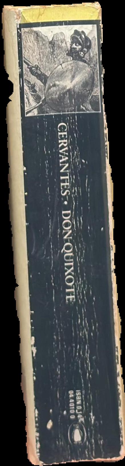 The adventures of Don Quixote live spine