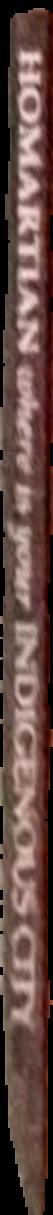Jordan Wolfson : Ecce homo / le poseur live spine