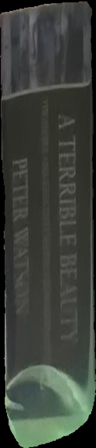 A terrible beauty : the people and ideas that shaped the modern mind : a history live spine