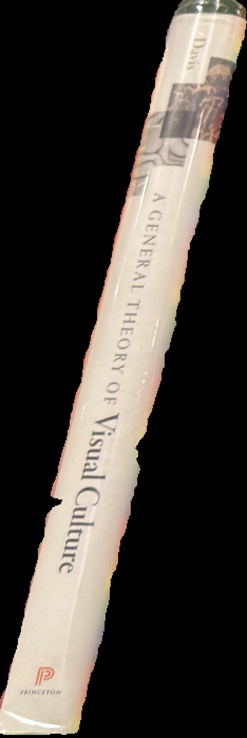 A general theory of visual culture live spine