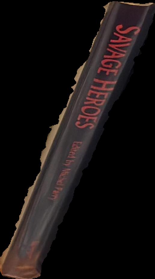 Savage heroes : tales of magical fantasy / edited by Michel Parry ; illustrated by Jim Pitts live spine