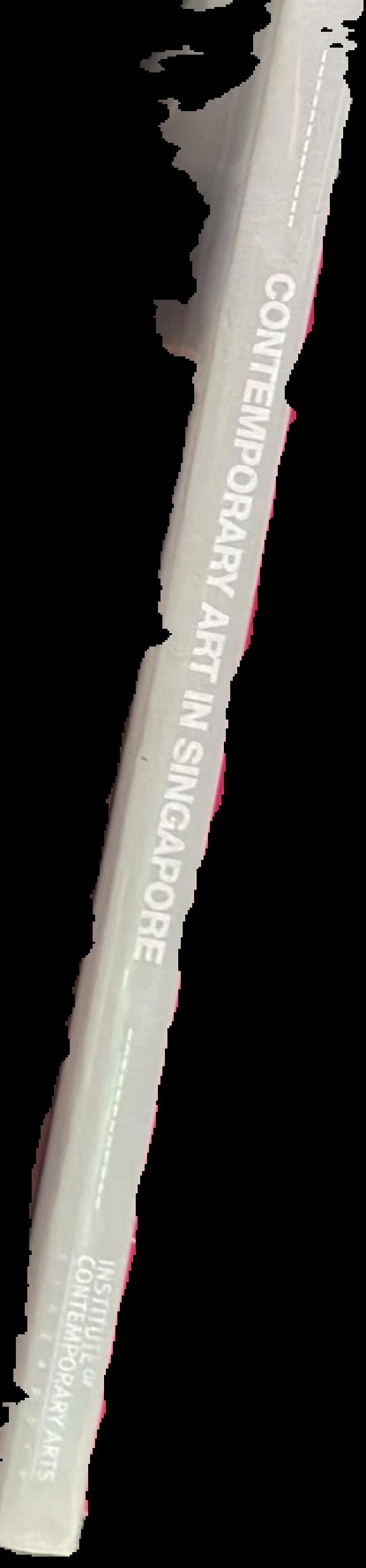 Contemporary art in Singapore live spine