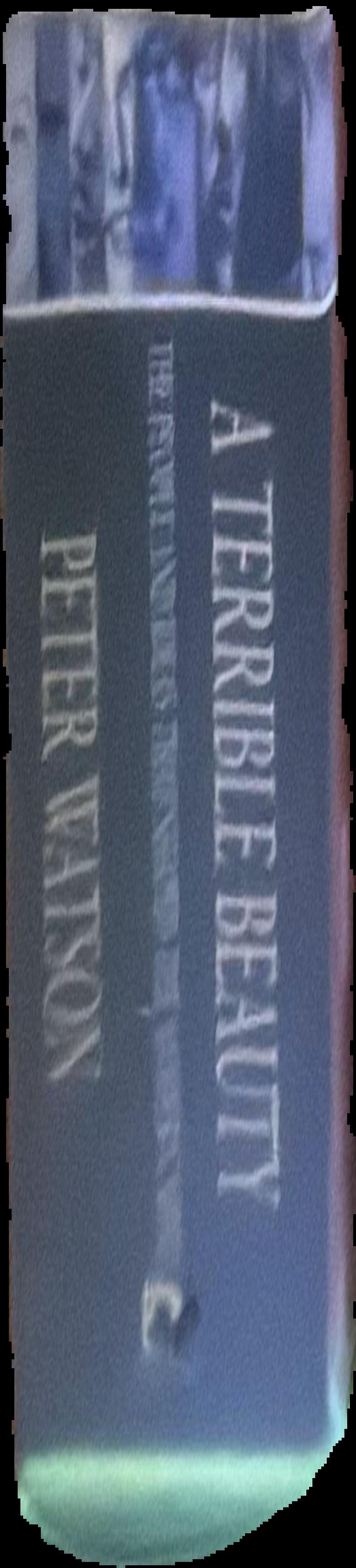 A terrible beauty : the people and ideas that shaped the modern mind : a history live spine