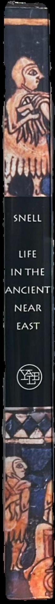 Life in the ancient Near East 3100-332 BCE live spine