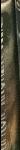 The shepherd moon / by H. M. Hoover live spine
