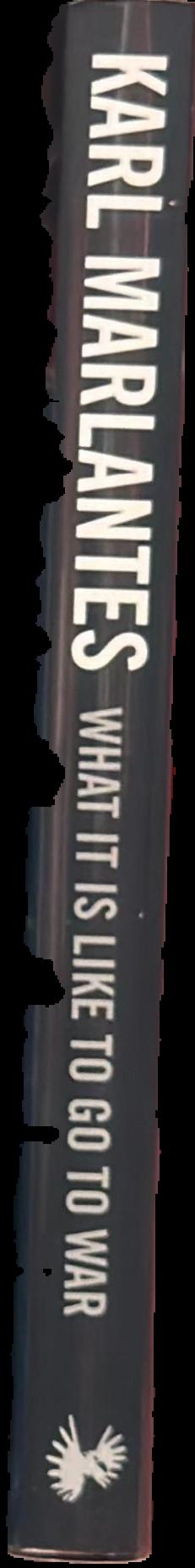 What it is like to go to war live spine