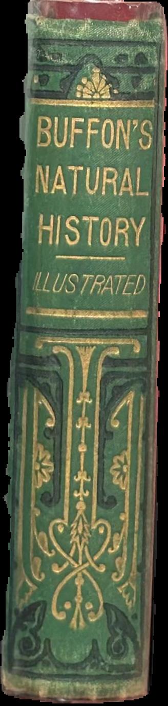 Buffon's natural history live spine