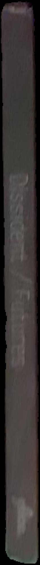 Fossil live spine
