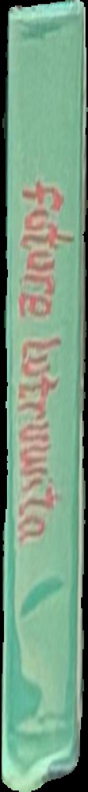 When the curtain never comes down : performance art and the alter ego / essay and entries by Valerie Rousseau ; foreword Anne-Imelda Radice ; with contributions by Mario del Curto [and 14 others) live spine