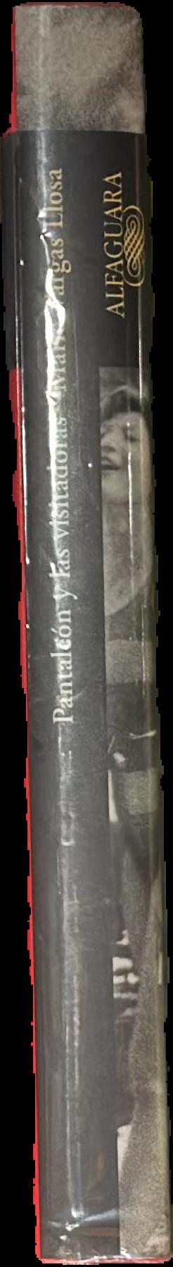 The real life of Alejandro Mayta / Mario Vargas Llosa ; translated by Alfred MacAdam live spine