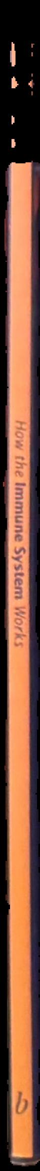 Recovering art : a history of the Cunningham Dax collection live spine