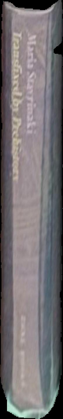 A treatise on white magic : or, The way of the disciple / by Alice A. Bailey live spine