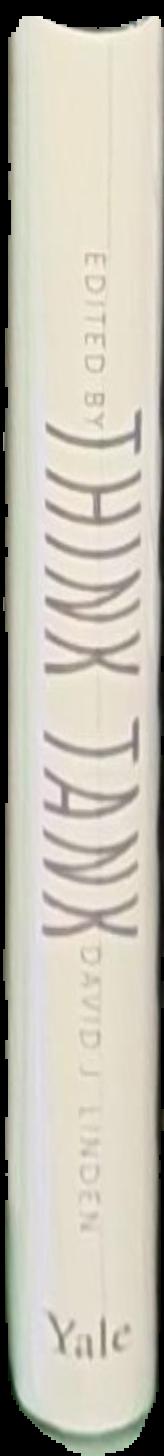 The age of the Renaissance / edited by Denys Hay ; texts by Nicolai Rubinstein [and 7 others] live spine