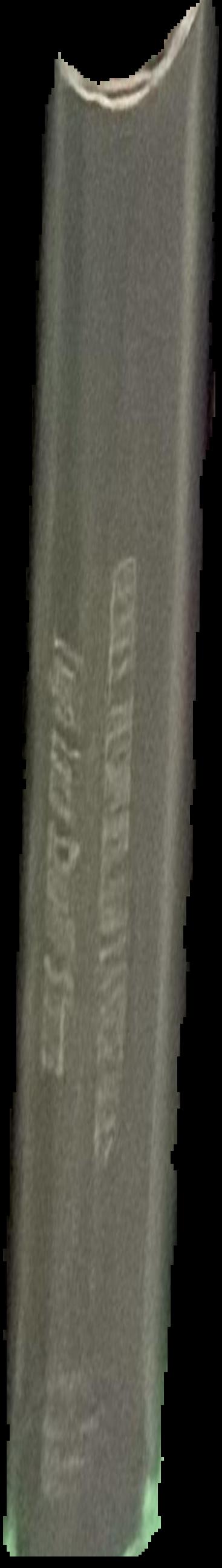 Fred E. Miller : photographer of the crows live spine