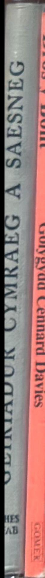 Dros y bont : a bridging reader for Welsh learners live spine