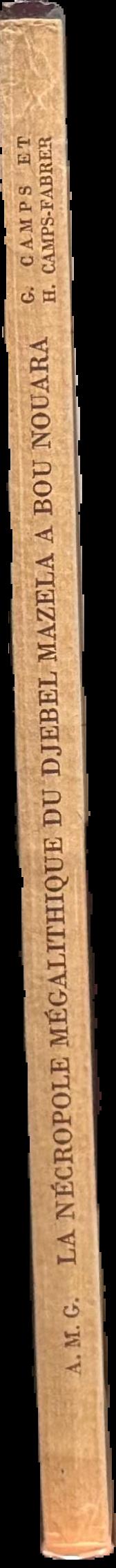 La nécropole mégalithique du Djebel Mazela à Bou Nouara : Anthropomorphic representations in Palaeolithic art live spine
