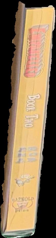 Bayrle : big book / Thomas Bayrle live spine